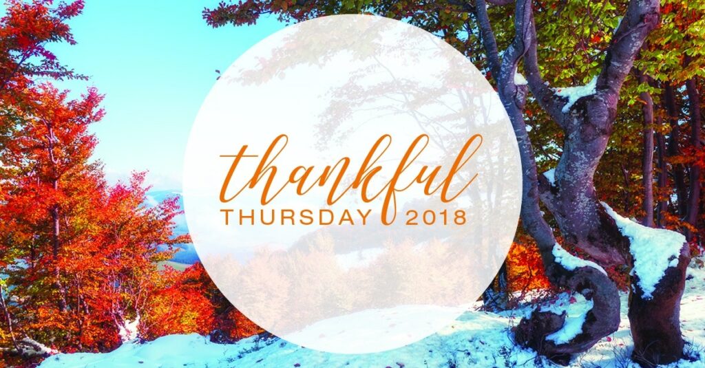 Thankful Thursday 2018 logo in front of a forest of multi-color leaved trees covered with snow