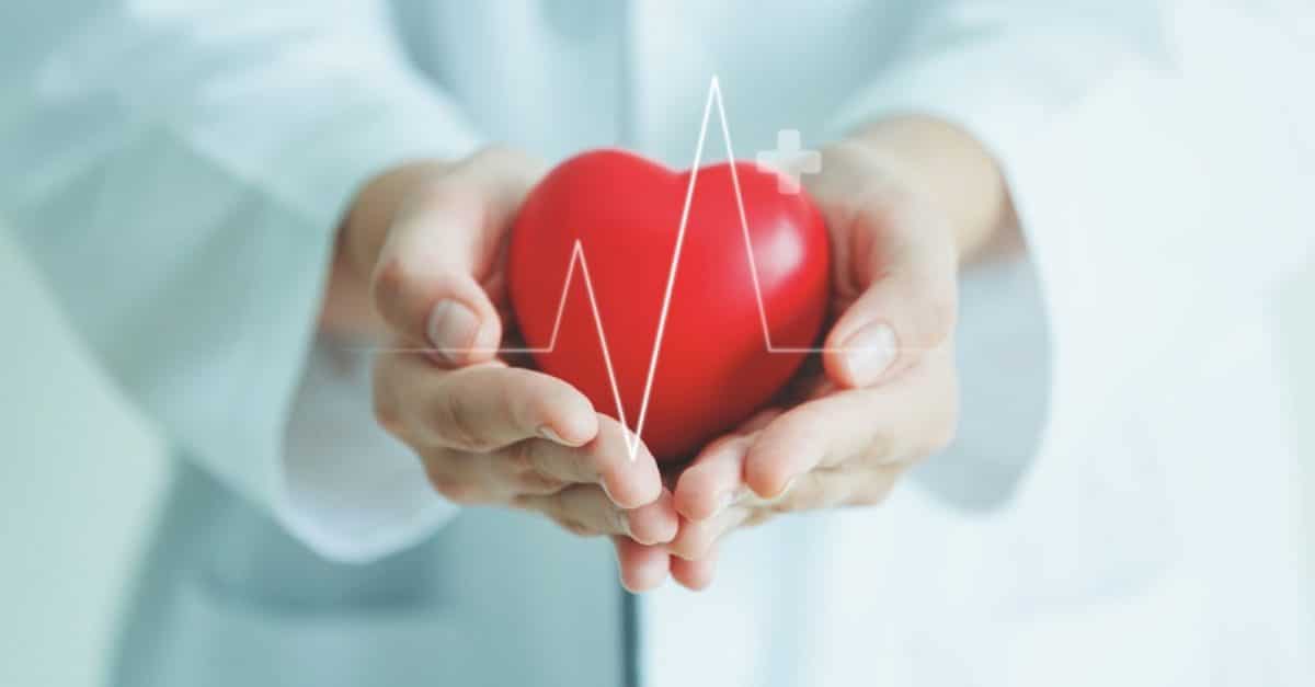 Doctor holding red heart ball with heartbeat